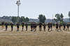 thumb_DSC_5518.jpg